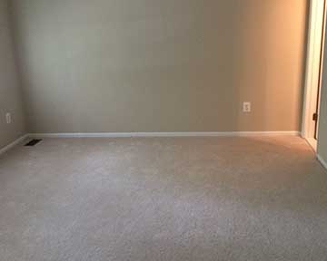 Carpet For Room